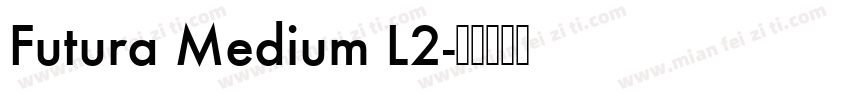 Futura Medium L2字体转换